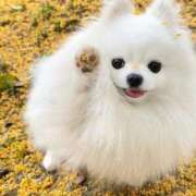 ヒメ日記 2025/12/26 07:18 投稿 あいら コスプレ痴漢電車