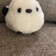 ヒメ日記 2025/06/04 13:10 投稿 なお 札幌回春性感マッサージ倶楽部