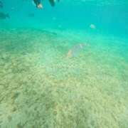 ヒメ日記 2025/07/16 22:43 投稿 なお 札幌回春性感マッサージ倶楽部