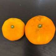 ヒメ日記 2024/12/27 11:47 投稿 霧島なるみ 華女 第二章