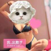 ヒメ日記 2025/03/02 09:01 投稿 霧島なるみ 華女 第二章