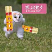 ヒメ日記 2025/03/04 12:01 投稿 霧島なるみ 華女 第二章