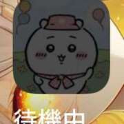 ヒメ日記 2025/03/26 14:45 投稿 霧島なるみ 華女 第二章