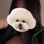 ヒメ日記 2025/03/29 11:23 投稿 霧島なるみ 華女 第二章