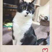 ヒメ日記 2025/11/29 15:24 投稿 あまね 完熟ばなな大宮