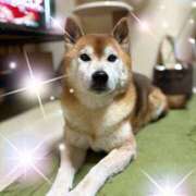 ヒメ日記 2025/11/30 19:44 投稿 あまね 完熟ばなな大宮