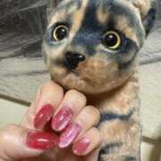 ヒメ日記 2025/12/07 17:31 投稿 あまね 完熟ばなな大宮