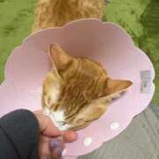 ヒメ日記 2026/01/08 20:00 投稿 あまね 完熟ばなな大宮