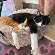 ヒメ日記 2026/02/12 19:22 投稿 あまね 完熟ばなな大宮