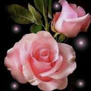 ヒメ日記 2026/02/16 21:09 投稿 あまね 完熟ばなな大宮