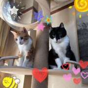 ヒメ日記 2026/02/23 07:48 投稿 あまね 完熟ばなな大宮