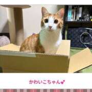 ヒメ日記 2026/06/14 21:17 投稿 あまね 完熟ばなな大宮
