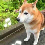 ヒメ日記 2026/06/27 19:18 投稿 あまね 完熟ばなな大宮