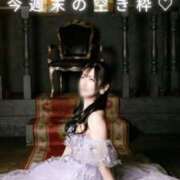 ヒメ日記 2026/04/24 12:46 投稿 雨宮凪沙 皇帝別館（こうていべっかん）