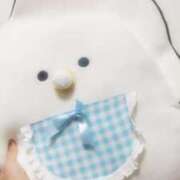 ヒメ日記 2025/02/12 12:45 投稿 ねね マーガレット