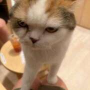 ヒメ日記 2025/05/16 21:35 投稿 しおり 可愛いは正義なり! ウエスト・コム