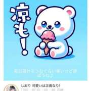 ヒメ日記 2025/06/04 19:56 投稿 しおり 可愛いは正義なり! ウエスト・コム