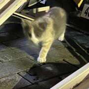 ヒメ日記 2025/07/20 19:46 投稿 しおり 可愛いは正義なり! ウエスト・コム