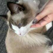 しおり 可愛いは正義なり! 今日からฅ( ˙꒳˙ ฅ) ウエスト・コム