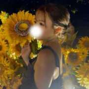 ヒメ日記 2026/03/30 09:04 投稿 なこ ZERO