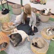 ヒメ日記 2025/09/16 04:05 投稿 しおん(奥様） 姫マーケット