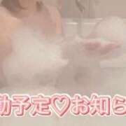 ヒメ日記 2025/11/15 22:45 投稿 れいか(奥様) 姫マーケット