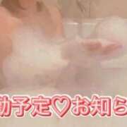 ヒメ日記 2025/12/16 14:25 投稿 れいか(奥様) 姫マーケット