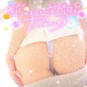 ヒメ日記 2026/04/03 15:45 投稿 れいか(奥様) 姫マーケット