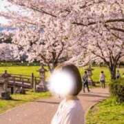 ヒメ日記 2026/04/04 13:45 投稿 れいか(奥様) 姫マーケット