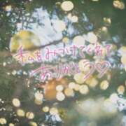 ヒメ日記 2024/12/25 20:40 投稿 なこ Club-Embassy