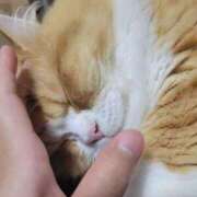 ヒメ日記 2025/06/23 22:35 投稿 ももか 涼泉（りょうせん）