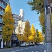 ヒメ日記 2025/11/29 12:43 投稿 あや 五反田・品川おかあさん