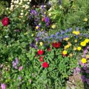 ヒメ日記 2026/02/04 23:55 投稿 あや 五反田・品川おかあさん