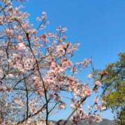 ヒメ日記 2026/03/23 08:43 投稿 あや 五反田・品川おかあさん