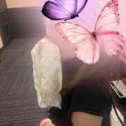 ヒメ日記 2025/10/05 20:16 投稿 あずさ 涼泉（りょうせん）