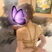 ヒメ日記 2025/11/05 07:15 投稿 あずさ 涼泉（りょうせん）