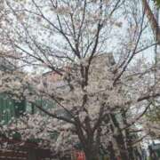 ちづる 今から十三いきます ギン妻パラダイス 十三店