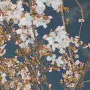 ちづる 十三出勤しました😊 ギン妻パラダイス 十三店