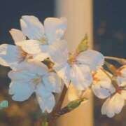 ちづる 十三出勤しました😊 ギン妻パラダイス 十三店