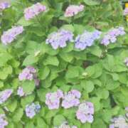 ヒメ日記 2026/06/03 12:48 投稿 ちづる ギン妻パラダイス 十三店
