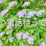 ヒメ日記 2026/06/05 20:23 投稿 ちづる ギン妻パラダイス 十三店