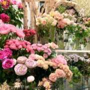 ヒメ日記 2025/06/15 13:06 投稿 未來/みら ANEJE～アネージュ池袋～(ユメオト)