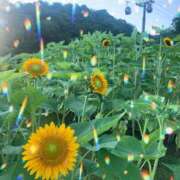 ヒメ日記 2025/08/15 21:15 投稿 未來/みら ANEJE～アネージュ池袋～(ユメオト)