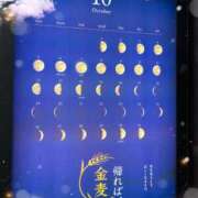 ヒメ日記 2025/11/10 23:15 投稿 未來/みら ANEJE～アネージュ池袋～(ユメオト)