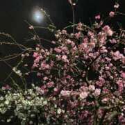 ヒメ日記 2026/04/04 21:04 投稿 未來/みら ANEJE～アネージュ池袋～(ユメオト)