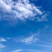 ヒメ日記 2025/03/11 16:08 投稿 こなん Fの法則