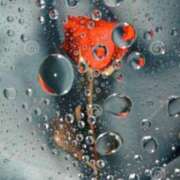 ヒメ日記 2025/03/16 13:20 投稿 まどか 完熟ばなな 上野店