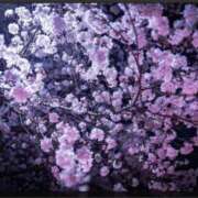 ヒメ日記 2025/03/21 21:50 投稿 まどか 完熟ばなな 上野店