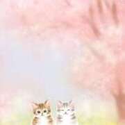 ヒメ日記 2025/03/23 23:30 投稿 まどか 完熟ばなな 上野店