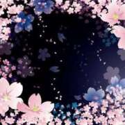 ヒメ日記 2025/03/25 22:00 投稿 まどか 完熟ばなな 上野店